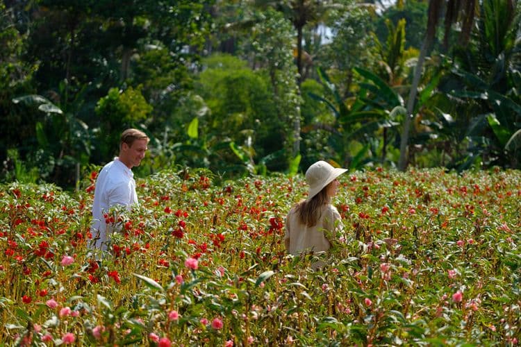 Honeymoon Ubud